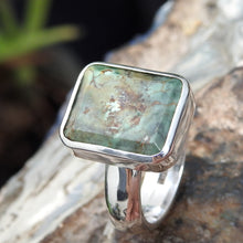 Load image into Gallery viewer, AUSTRALIAN VARISCITE