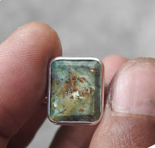 Load image into Gallery viewer, AUSTRALIAN VARISCITE