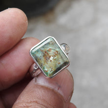 Load image into Gallery viewer, AUSTRALIAN VARISCITE
