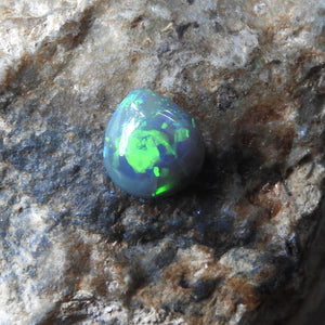 BLACK OPAL