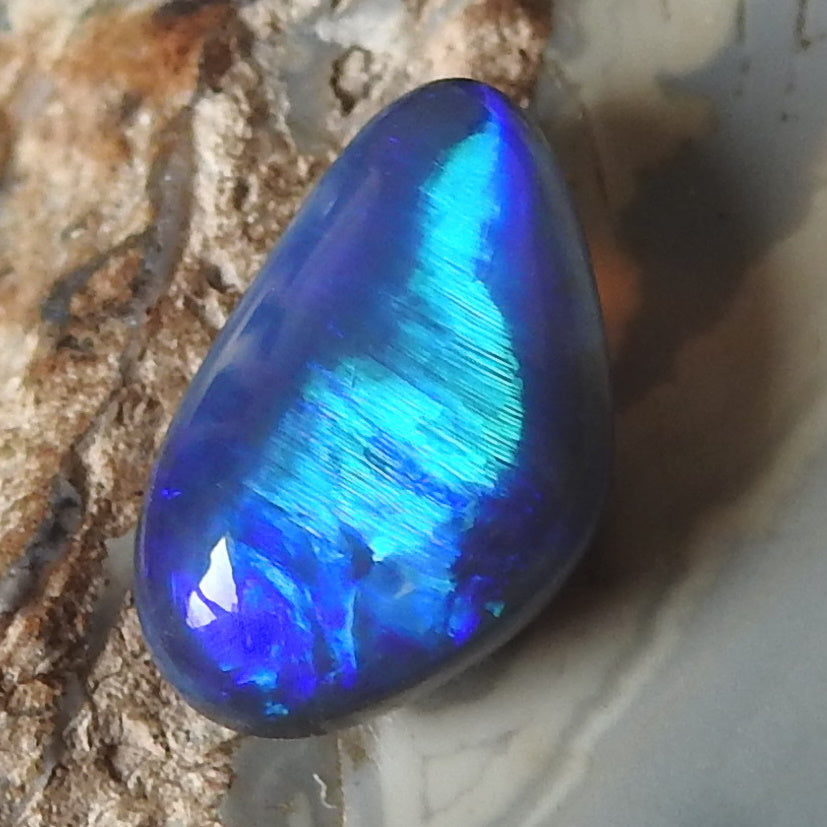 BLACK OPAL