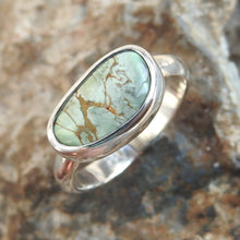 Load image into Gallery viewer, AUSTRALIAN VARISCITE