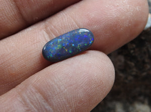 Black Opal