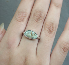 Load image into Gallery viewer, AUSTRALIAN VARISCITE