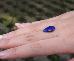 BLACK OPAL