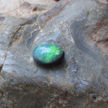 Load image into Gallery viewer, Black Opal