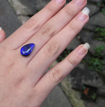 Load image into Gallery viewer, BLACK OPAL