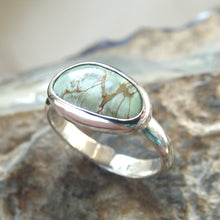 Load image into Gallery viewer, AUSTRALIAN VARISCITE