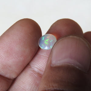 Natural Solid Crystal Opal from Lightning Ridge with Green Orange Colors.