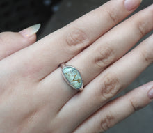Load image into Gallery viewer, AUSTRALIAN VARISCITE