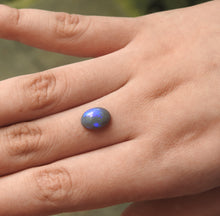 Load image into Gallery viewer, BLACK OPAL