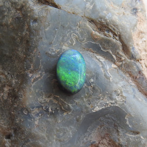 Black Opal