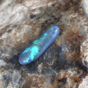 BLACK OPAL