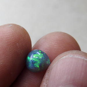 BLACK OPAL