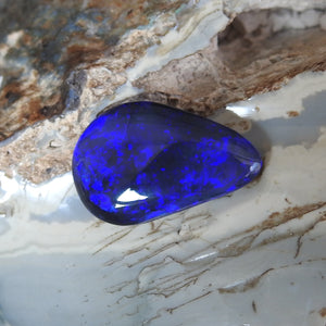 BLACK OPAL