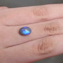 Load image into Gallery viewer, BLACK OPAL