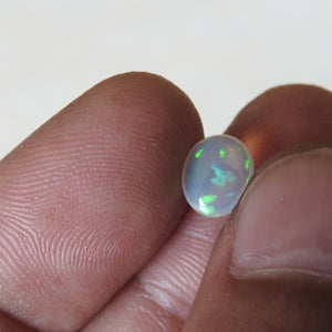 Natural Solid Crystal Opal from Lightning Ridge with Green Orange Colors.