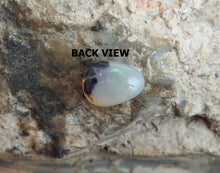 Load image into Gallery viewer, Natural Solid Polished Opal From Lightning Ridge with Green Yellow Blue Colors.